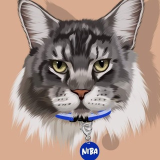 yoyo宠物超市 每周六店休 Telegram Group Link