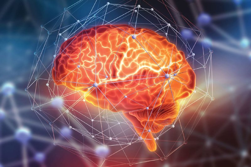 AI finds two MS subtypes using brain scans and blood markersResearchers at University College London and Queen Square Analytics used artificial intelligence to analyze brain scans and blood markers from 634 multiple sclerosis patients, identifying two distinct biological subtypes termed 