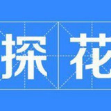 魔都探花 总入口
