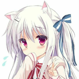 神奇的笔记 Telegram Group Link