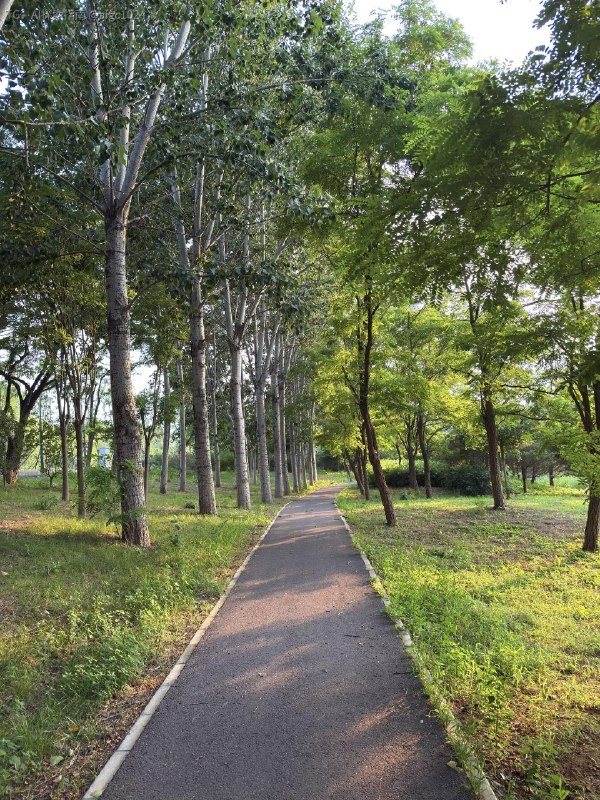夏日骑行人们在河里钓着鱼人们在岸边采桑葚云飘过水流过@aigc1024夏日骑行人们在河里钓着鱼人们在岸边采桑葚云飘过水流过@aigc1024