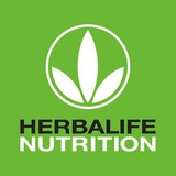 Herbalife American