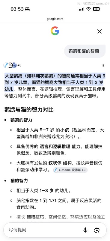 人在物理形态/与自然交互层面分为生存和使用工具两部分