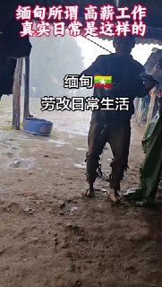 东南亚华人大事件：月入过万的缅甸梦 背后是护照被锁 皮肉受苦的深渊！ 别再相信轻松暴富配图