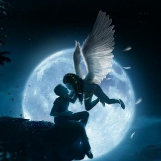 अल्फाज़ जो दिल ❤कहे ....💕💕 Telegram Group Link