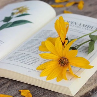 Legal MCQ Telegram Group Link