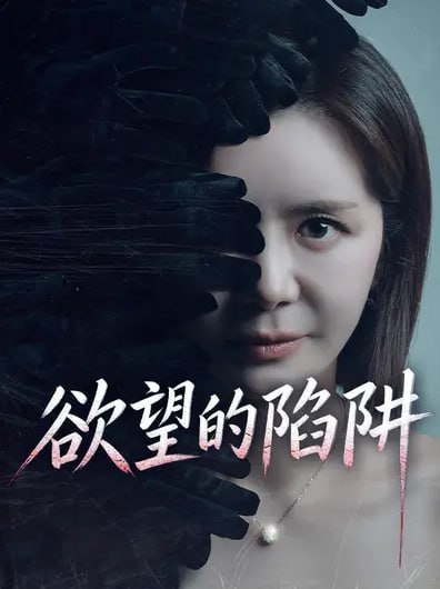#剧集
