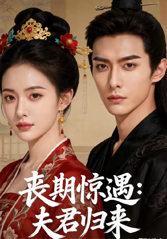 丧期惊遇夫君归来（49集）Ai短剧