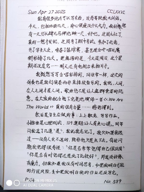 媒体预览