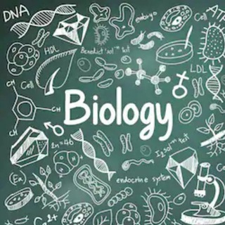 Biology STPM Term 2