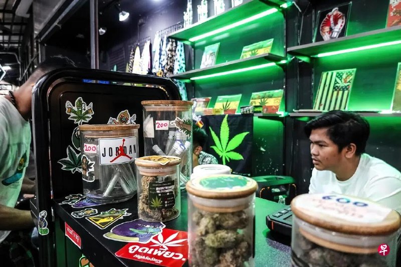 泰国卫生部泰医及替代医学司公布大麻管制法案草案，明确将大麻使用严格限制于医疗及科研用途，全面禁止大麻的商业广告与市场推广，并计划设立国家级监管委员会，以彻底堵住大麻从毒品名单剔除以来出现的法律漏洞。