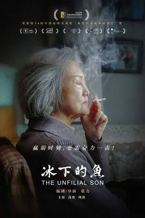 名称：冰下的鱼 (2024) 4K