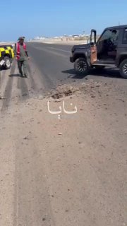 סצנות ממסלול הנחיתה של נמל התעופה הבינלאומי עדן לאחר יציאתו משירות.