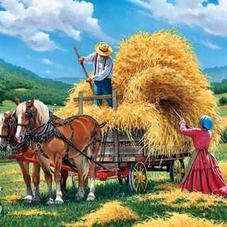 AGRICULTURE SUPERVISOR 2025