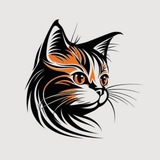 Catino