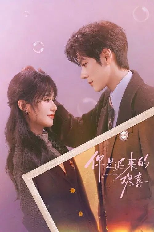 名称：你是迟来的欢喜 (2026) 4K 全30集