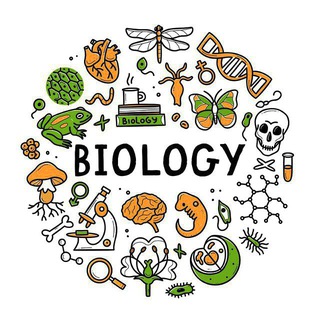 12th Biology in hindi Telegram Group Link