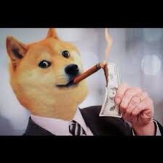 Free Doge Everyday Telegram Group Link
