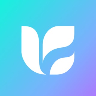ONBUFF_COMMUNITY_KR Telegram Group Link