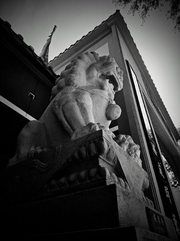 #PlusGamma #HongKong