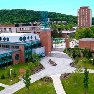 Binghamton University State University Of New York Telegram Group Link