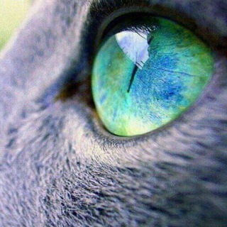 AB Blockchain Telegram Group Link