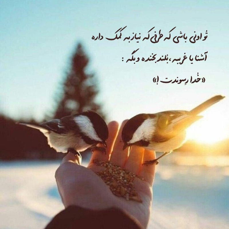 اســلامـــے پــروفایــل ها ❥❤: رسانه پست