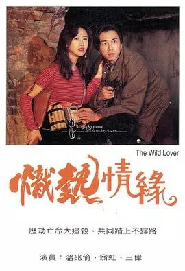 炽热情缘（1995）