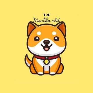 babydogecoin中文社区（狗链）