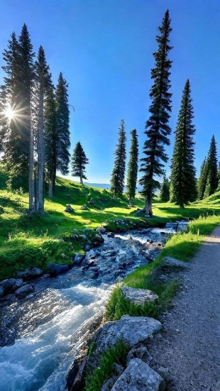 کانال فضایل اعمال: نگران فردایت نباشرزق، آرامش و آیندهات در دست الله استتو وظیفه داری تلاش کنی و به او توکل داشته باشیگاهی بهترین اتفاقها