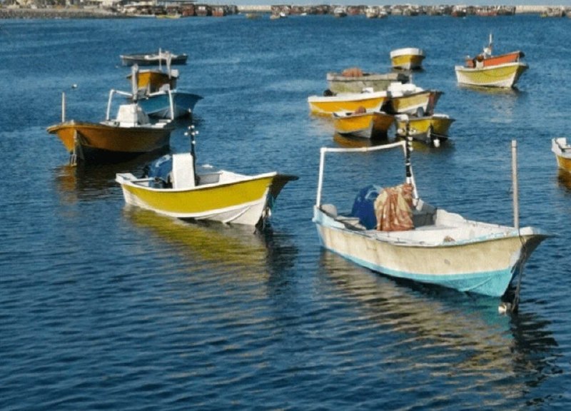 نگین غرب استان تهران: 🔴 بی‌خبری از ۹ صیاد بندرلنگه‌ای پس از پنج روز🔹 فرماندار بندرلنگه اعلام کرد که ۹ صیاد این شهرستان که پنج روز پیش با ۳ قای