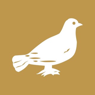 News Update Telegram Group Link