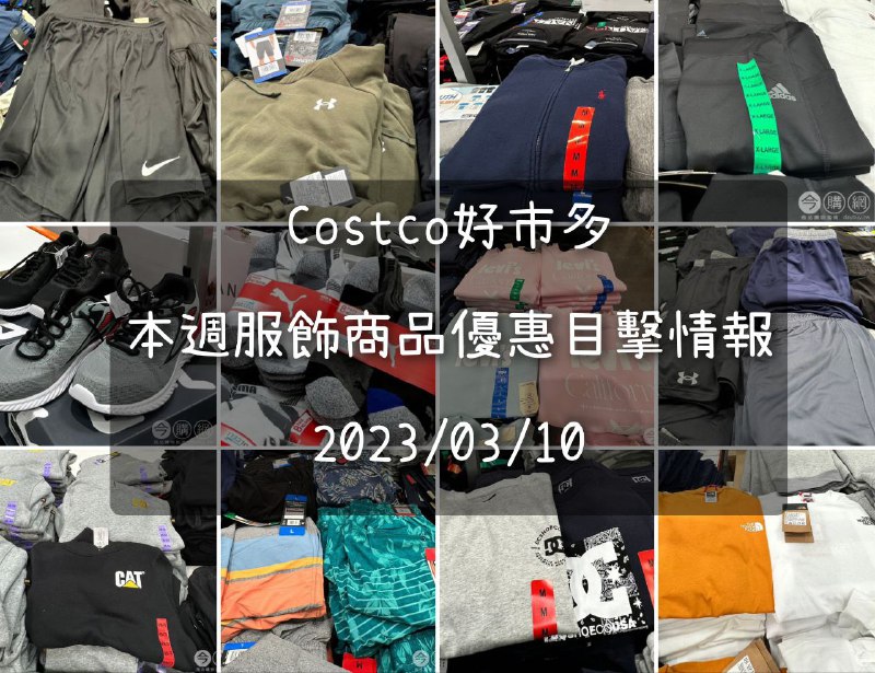 完整情報 