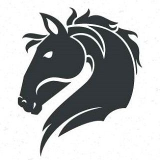 Financial Horse - Singapore Stock and REIT Investments 🐴 Telegram Group Link