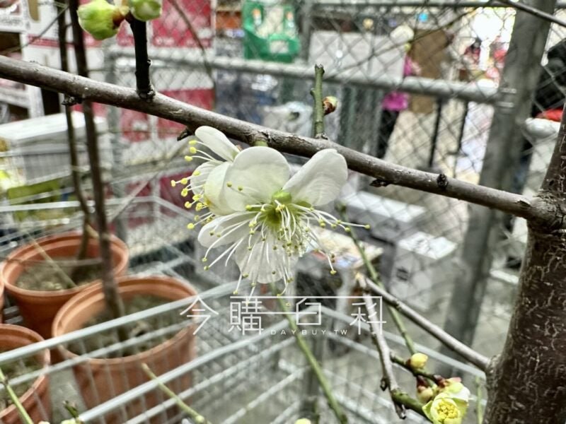 新品情報看這裡 