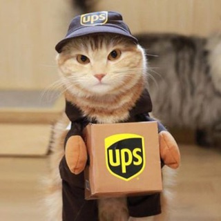 UPS CAT Telegram Group Link