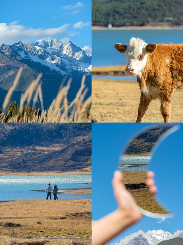 春之绚烂夏之热烈秋之静美冬之纯净春之绚烂夏之热烈秋之静美冬之纯净