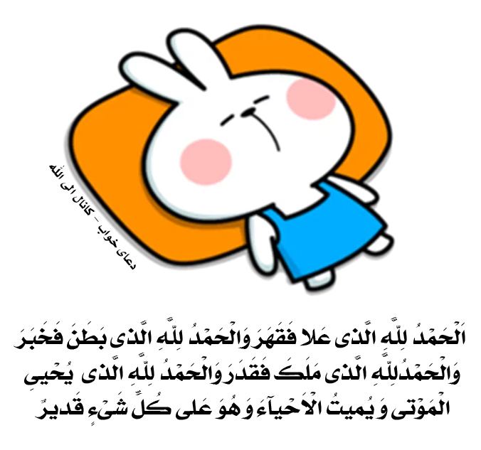 📖دُعآهآیِ قُرآنی وَسَریعُ الِاجابِه اَسرارِاِلهِی📖: #دعای_خواب🌸✨ امام صادق ؏ ؛کسی که هنگام خواب ۳ باراین ذکر را بگوید مانند روزیکهاز مادر متولد شده از گناهانبیرون مے آید ✨📚