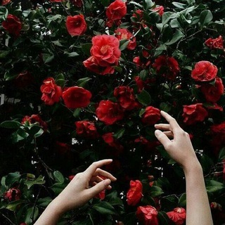 Ye'lovme 💮 Telegram Group Link
