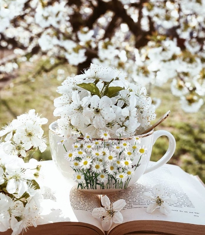 سخنان دلـنشین و زیبا ❤: 🌾سلام به صبح، سلام به زندگی🍃که برای بودنش زنده ایم🌾سلام به مهربانی🍃که همه بهش محتاجیم🌾سلام به صداقت و درستی🍃که در ذات و