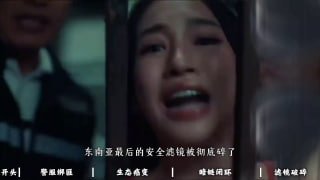 东南亚华人大事件：东南亚安全的最后防线已被击碎！比诈骗更可怕的 是你看不见的黑暗 东南配图