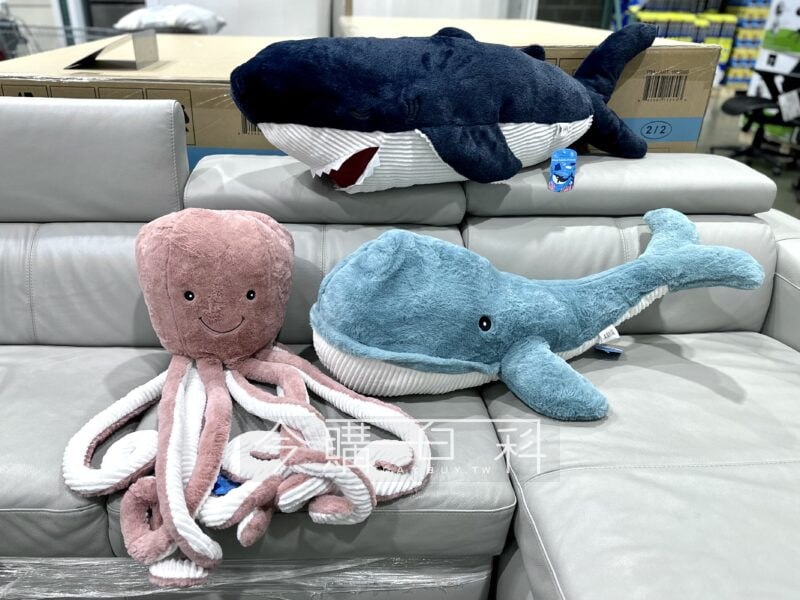 新品情報看這裡 