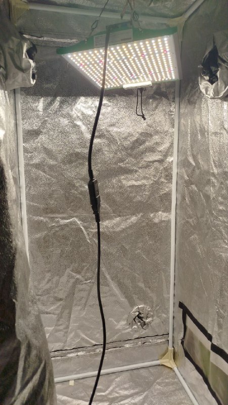 Гроубокс для выращивания микрозелени. — фото 1