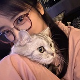 @shenyud