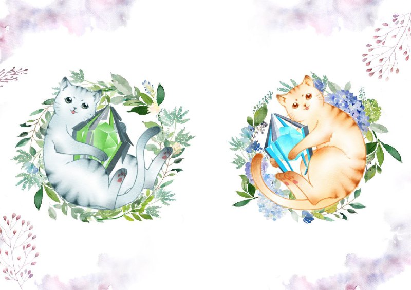 #IFS 終於在這場拿到了小清姐姐的貓貓🐱！2019.12-2021.12，澳門 IFS 總 36 場完結撒花
