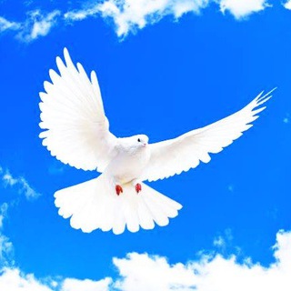 Kerala Christian Pentecost Telegram Group Link