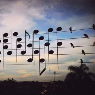 Music LOvers🎶 Telegram Group Link