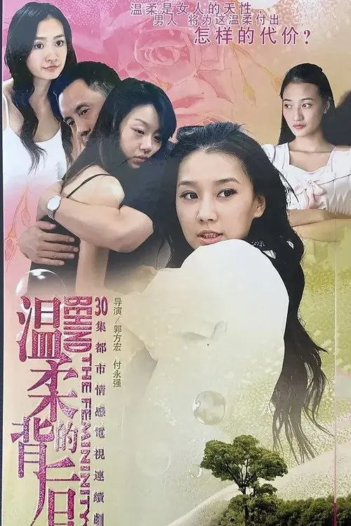 名称：温柔的背后 (2008) 4K 全集