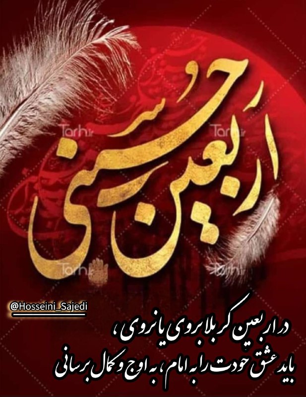 سید عبدالکریم حسینی ساجدی: ✍در اربعین کربلا بروی یا نروی، باید عشق خودت را به امام، به اوج و کمال برسانی... #اربعين_حسینی 🥀استاد #_حسینی_ساجدی ┄┅═✧