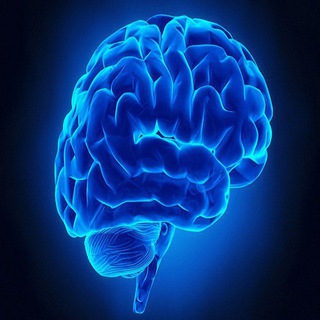 Calicut University Bsc Psychology Telegram Group Link
